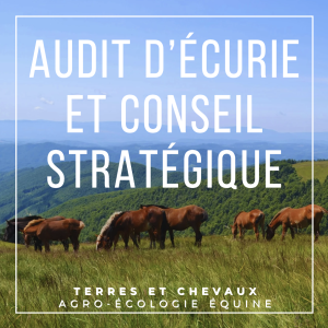 Audit d'écurie et conseil stratégique