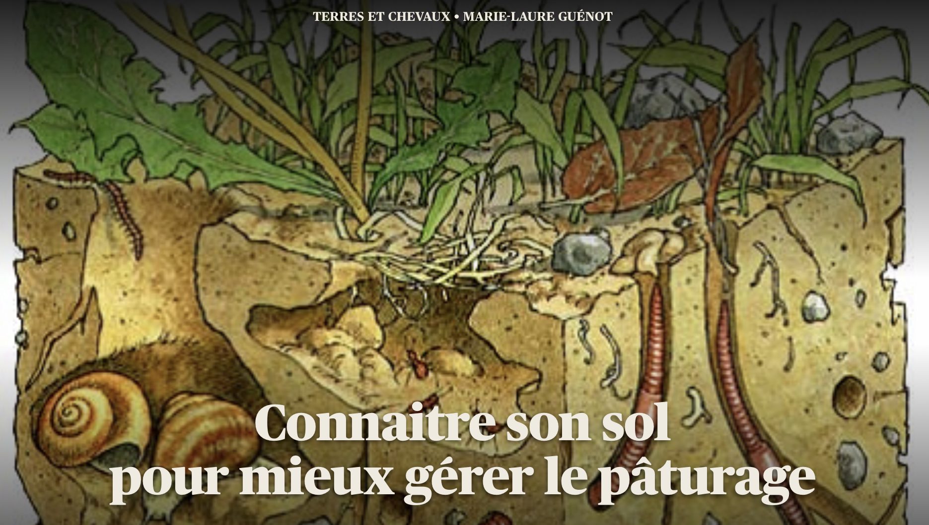 VID O Conna tre Son Sol Pour Mieux G rer Le P turage Boutique En 