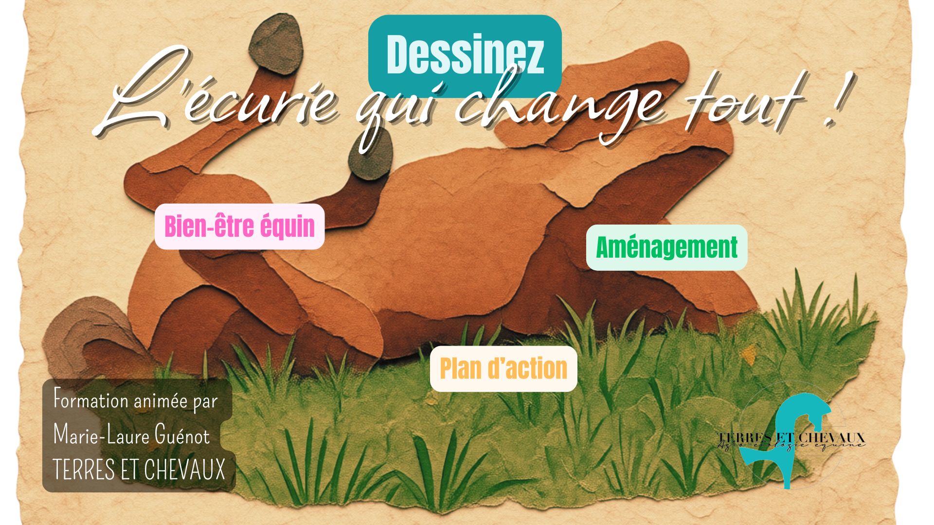 Formation hébergement équin