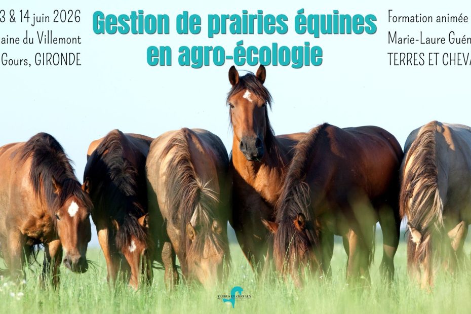 Formation prairies équines Gironde 2026