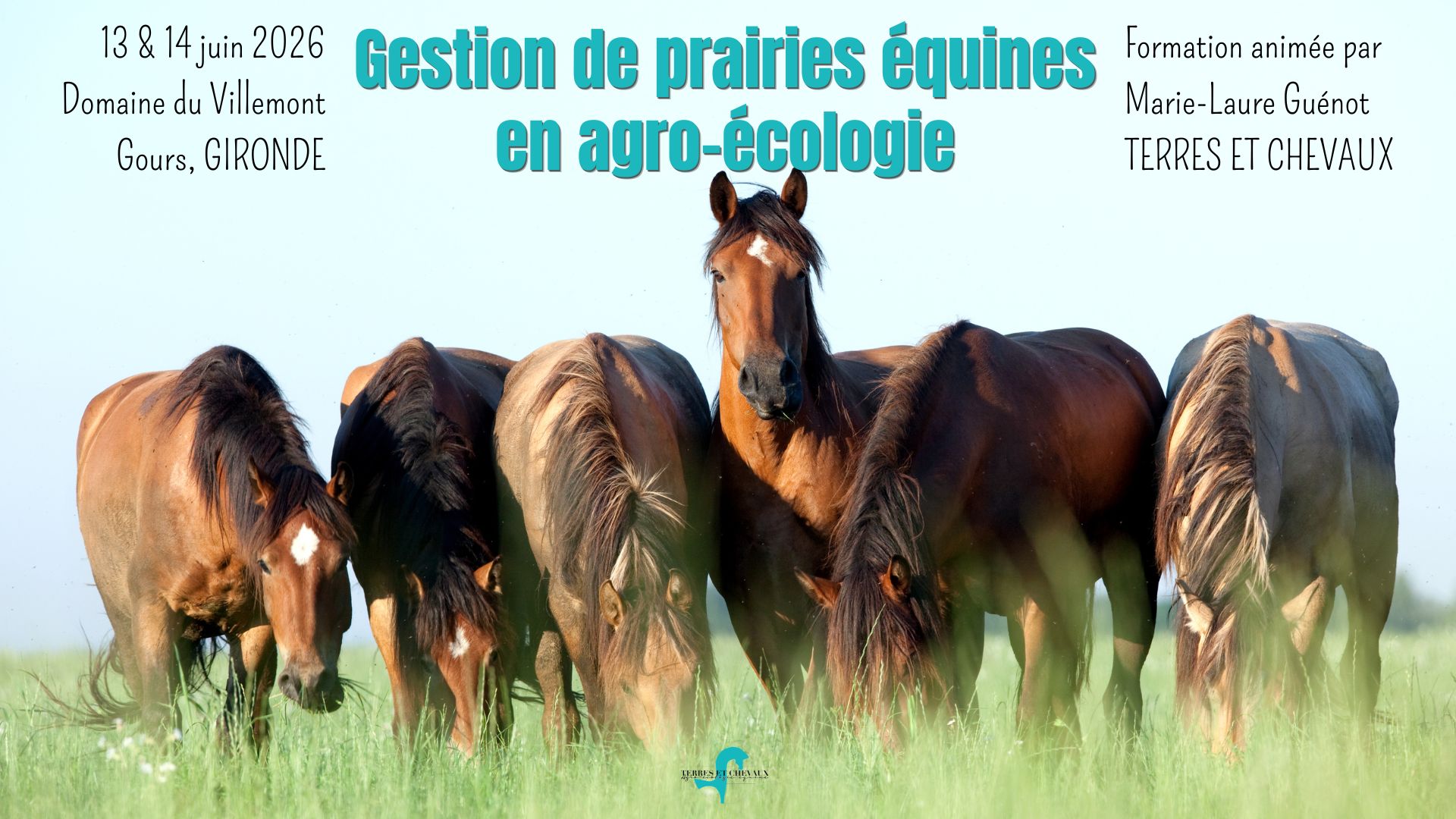 Formation prairies équines Gironde 2026