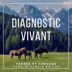 Diagnostic vivant - audit d'écurie rapide et simple