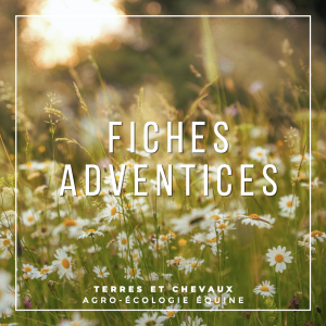 Fiches adventices